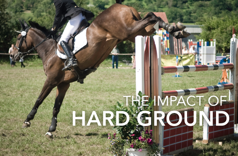The Impact of Hard Ground & How To Support Your Horse - Equine Science Matters™